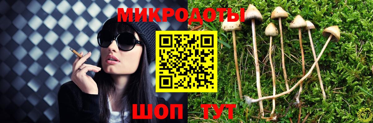 Псилоцибиновые грибы Psilocybine cubensis  Вход с VPN  Арзамас  Псилоцибиновые грибы прущие грибы 